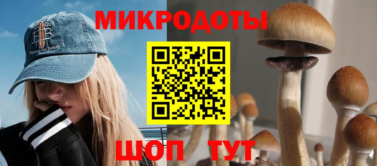 Псилоцибиновые грибы Psilocybe  Вход с VPN  сколько стоит  Анапа 
