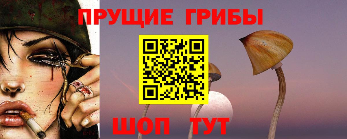 Псилоцибиновые грибы Psilocybine cubensis Анапа